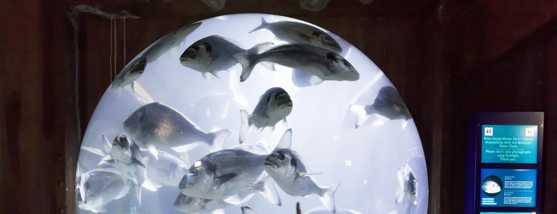 SEA LIFE Speyer entrance tickets