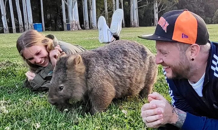 WILD Wombat and Kangaroo Day Tour, All Inclusive