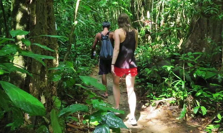 2-Day Khao Sok Jungle Safari from Krabi