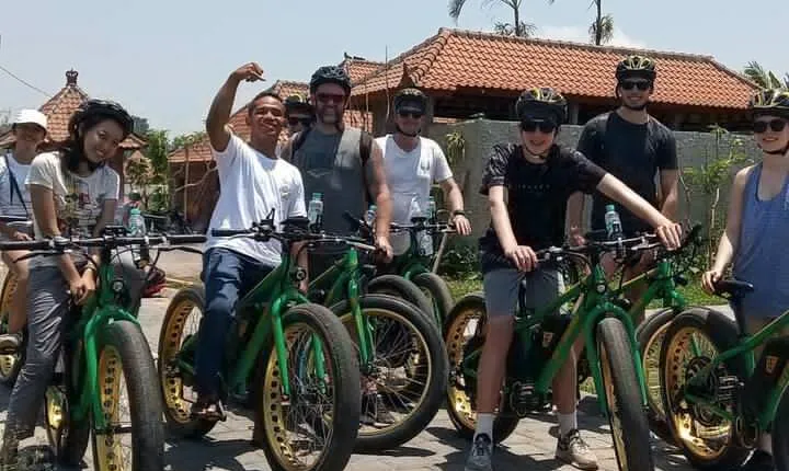 Gianyar Waterfall eBike Private Tour