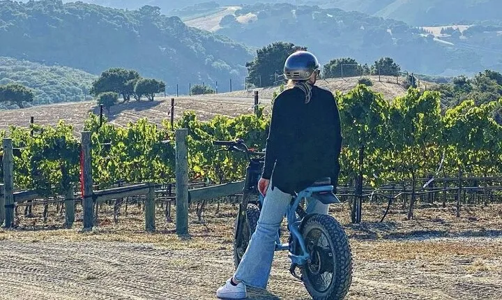 Albatross Ridge Vineyards Electric Bike Tour & Wine Tasting