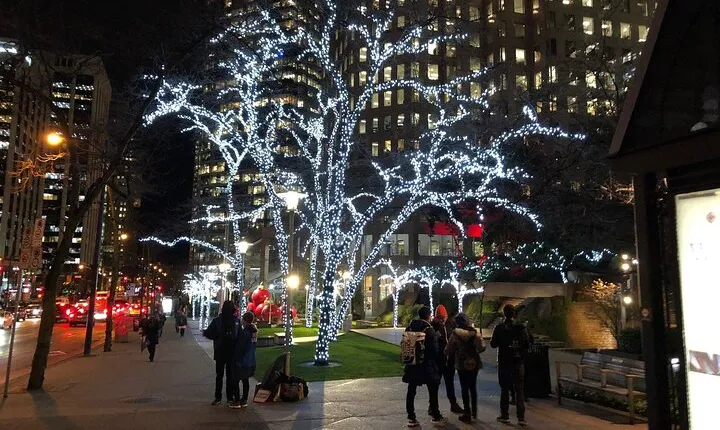 Vancouver Christmas Light Tour private