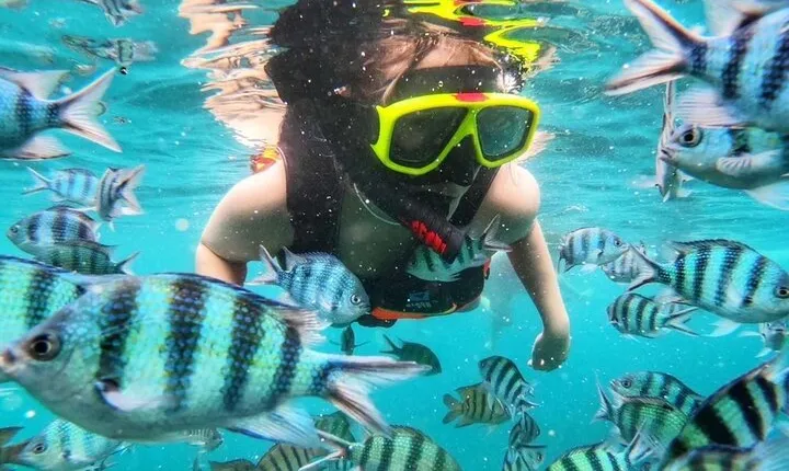 Discover Five Islands on a Snorkeling Adventure from Ko Samet
