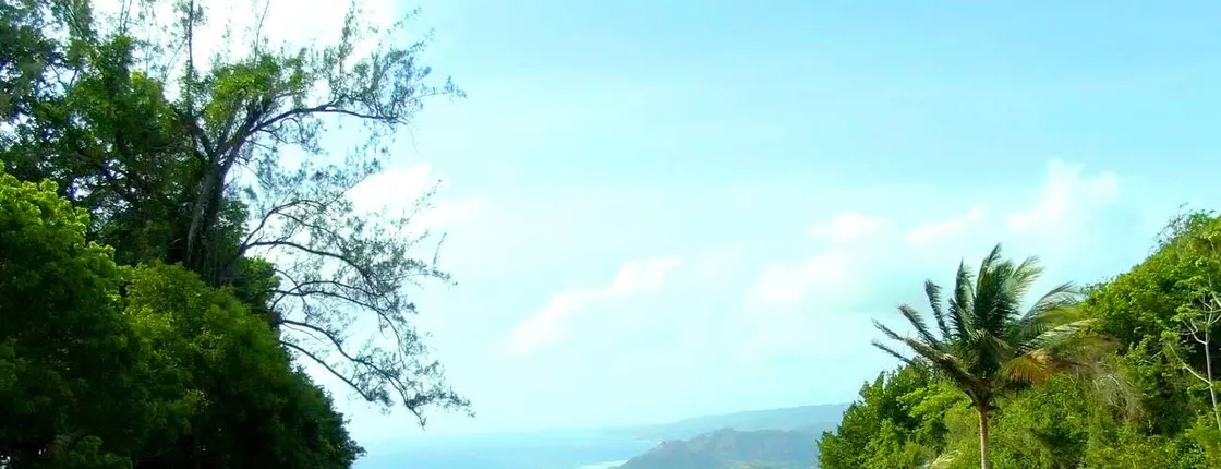 Exotic Barbados
