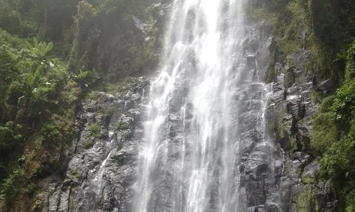 Materuni Waterfalls & Coffee Tour from Moshi
