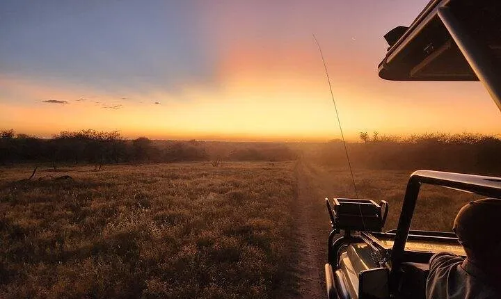 Dinokeng Big Five Safari and African Food Tasting in Johannesburg