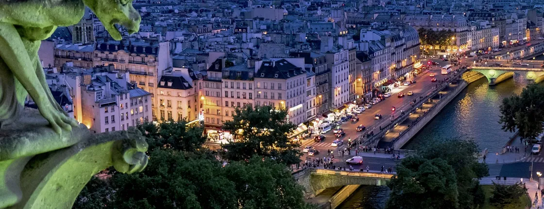 Paris Private City Tour by Night by Mercedes.