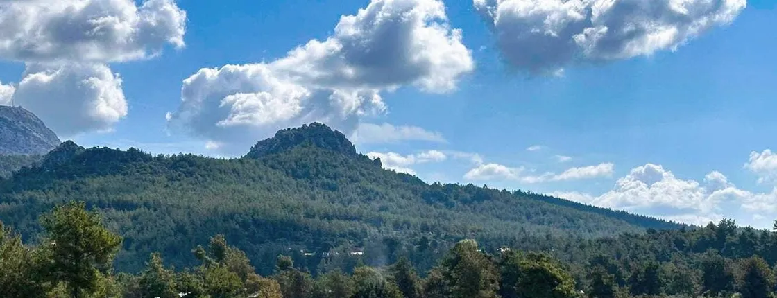 Turkey's Wonder Garden and tropical safari visit with lunch