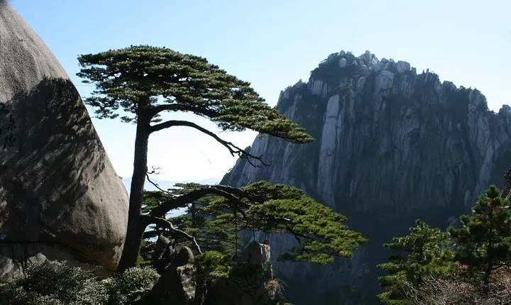 Private 2 days tour to visit Huangshan Mountain and Hongcun village