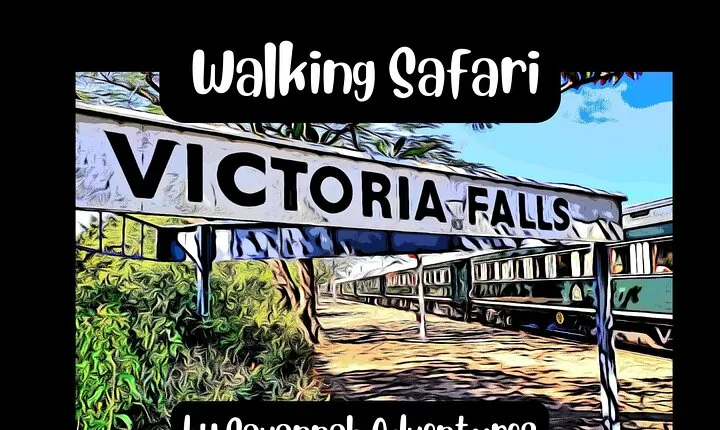 Walking Safari of Victoria Falls Town 