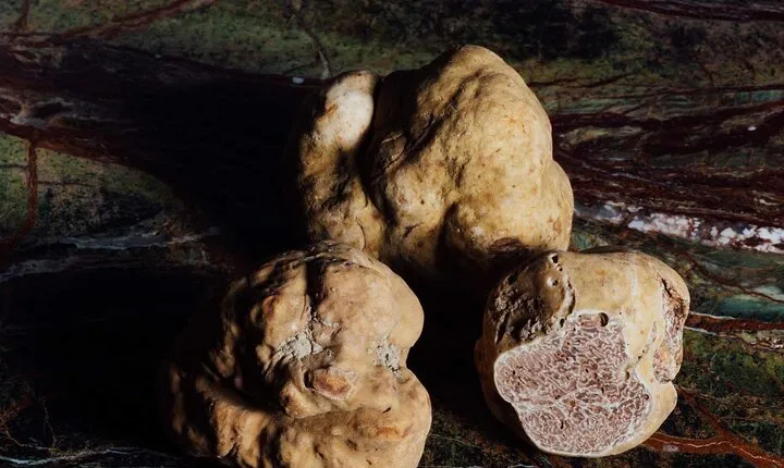 Half day tour, with truffle based lunch: Exploring the Duke's lands