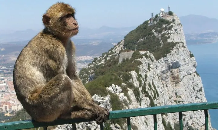 From Costa del Sol: The Gibraltar classic Rock tour