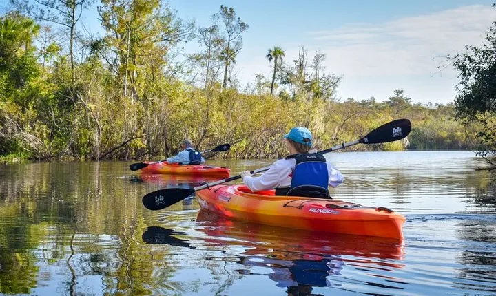 Everglades Guided Kayak Tour