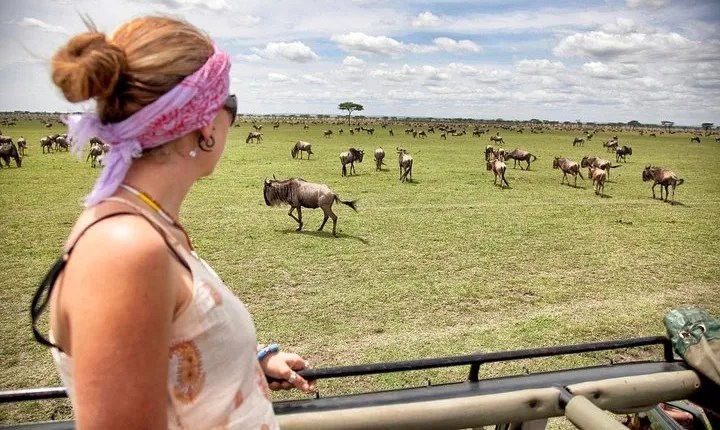 3 Days 2 Nights Serengeti, Ngorongoro & Tarangire Wildlife Lodge Safari