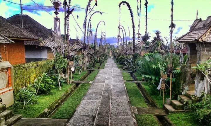 Bali Ubud and Kintamani Sightseeing Tour 