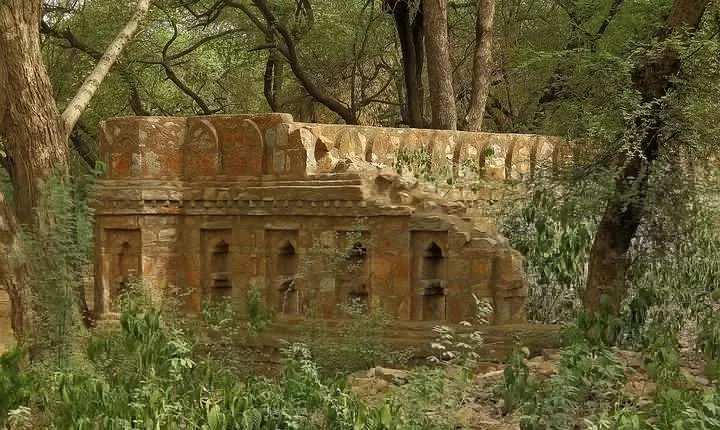 Delhi Urban & Heritage Adventures