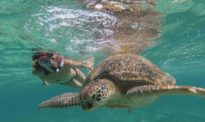 Marsa Mubarak Sea Snorkeling Boat Trip From Marsa Alam