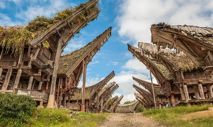 Toraja Highlight 3 Days