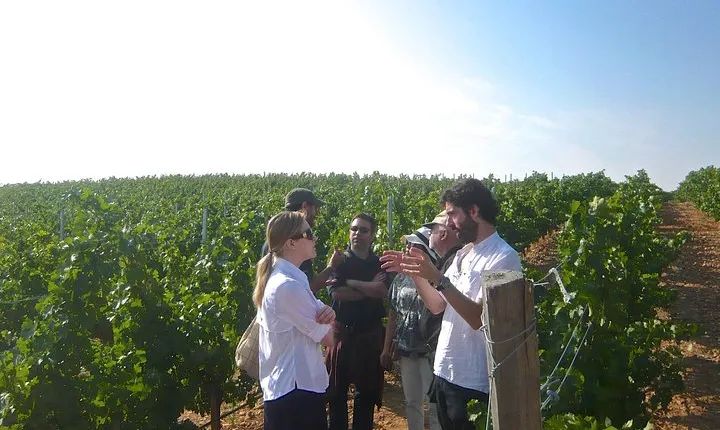 Madrid Countryside Wineries Guided Tour with Wine Tasting