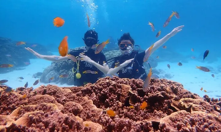 Scuba Diving at Racha and Coral Reefs with Picture and Video