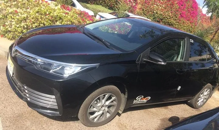 Private Transfer from Cairo Airport
