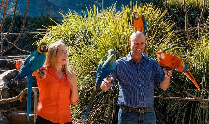 Maleny Botanic Gardens Bird Aviary Experience Ticket