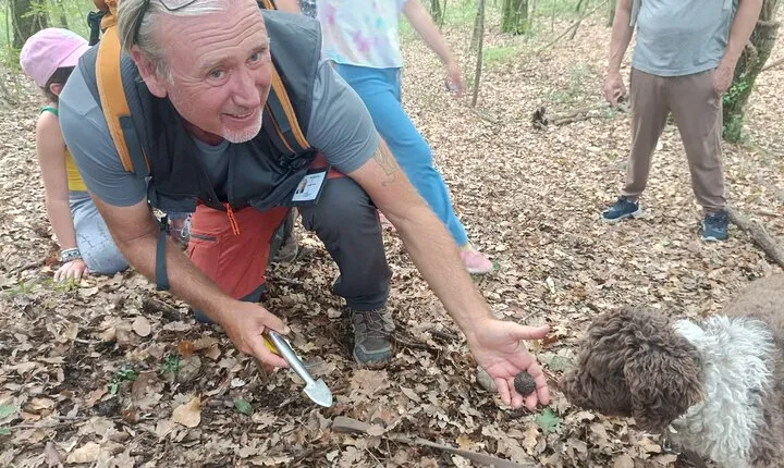Truffle Hunting with Lunch and Chianti Tasting from Pisa