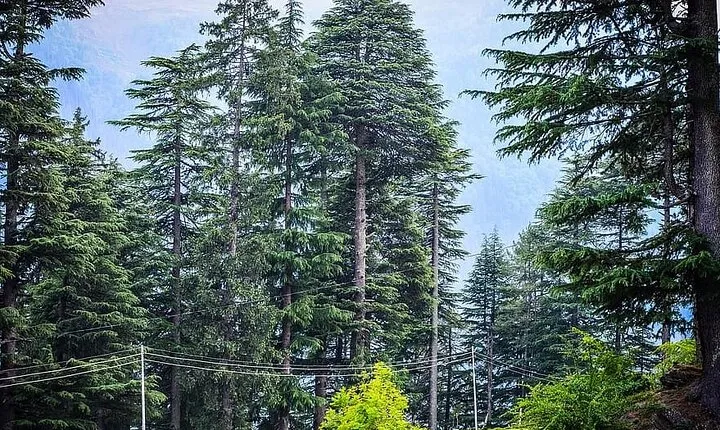Magical Manali Honeymoon Package