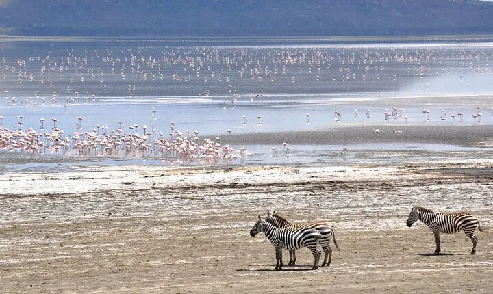 2 Day Tour Lake Nakuru, Hell' s Gate & Lake Naivasha From Nairobi