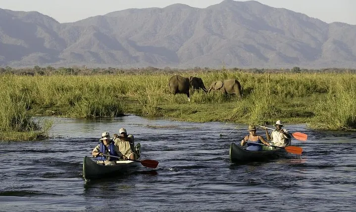 Arusha National Park Day Trip
