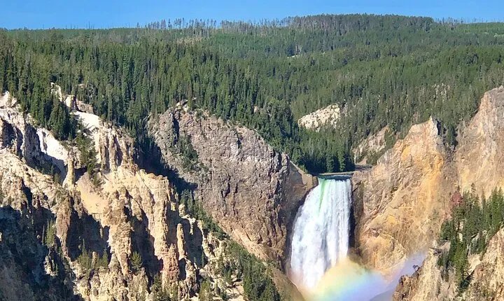 Private Yellowstone Tour: ICONIC Sites, Wildlife, Family Friendly Hikes + lunch