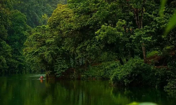 Arenal Volcano Hike Experience (not guide included)