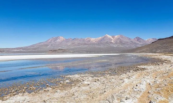 Day Tour to Laguna de Salinas
