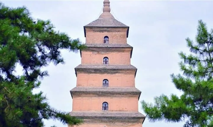 Terracotta Army&Big Wild Goose Pagoda Private Day Tour