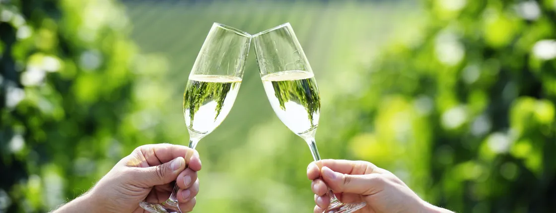 Private day trip to the Champagne region from Paris