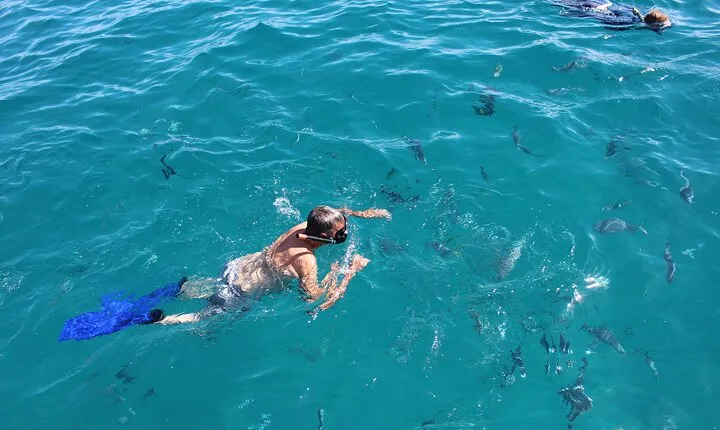 Cabo San Lucas Snorkel Tour All Included