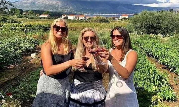 Wine tour Korčula - private tour