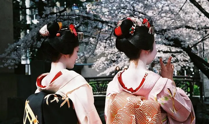 Kyoto Spring Evening (Cherry Blossom) Food Tour