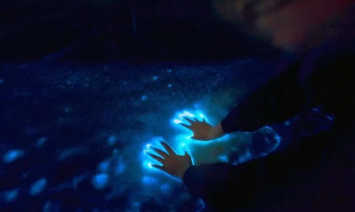 Private Sunset and Bioluminescence Tours in Cocoa Beach
