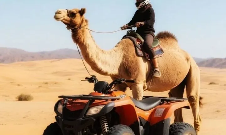 Marrakech: Quad & Camel Ride with Sunset, Dinner & Show