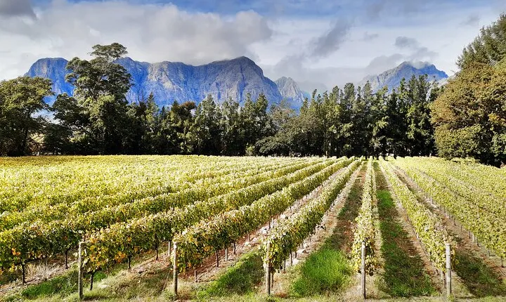 Private Icons of South Africa Wine Tour