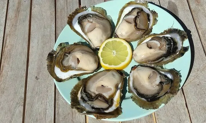 Perfect Private Oyster and Wine tasting with Boat ride