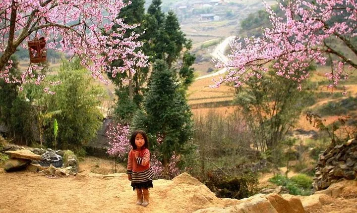 Sapa 3 Days 2 Nights Trekking Tour (1 Night In Ta Van Village, 1 Night In Hotel)