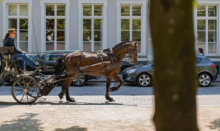 Bruges: romance, paintings and chocolate (private day-trip from Paris)