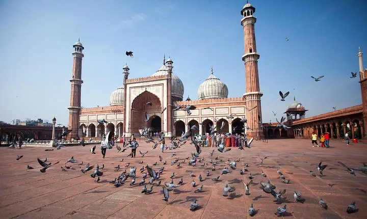 Private Old and New Delhi City Best of Tour in 7 Hours