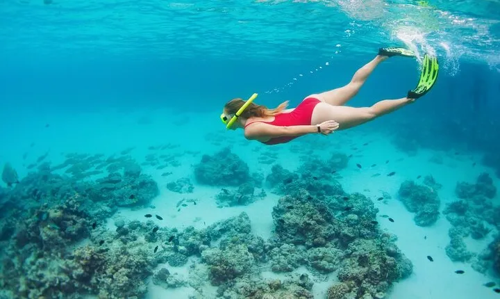 Seven Days Serengeti Game Drive and Beach Safari