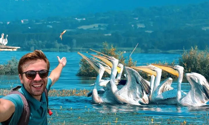 From Thessaloniki: Private Day Trip to Kerkini Lake