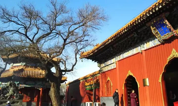 Private Layover Beijing Day Tour to Summer Palace and Lama Temple