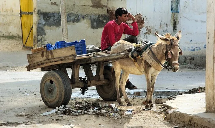 Private 10-Day Rajasthan Heritage Tour from Jodhpur