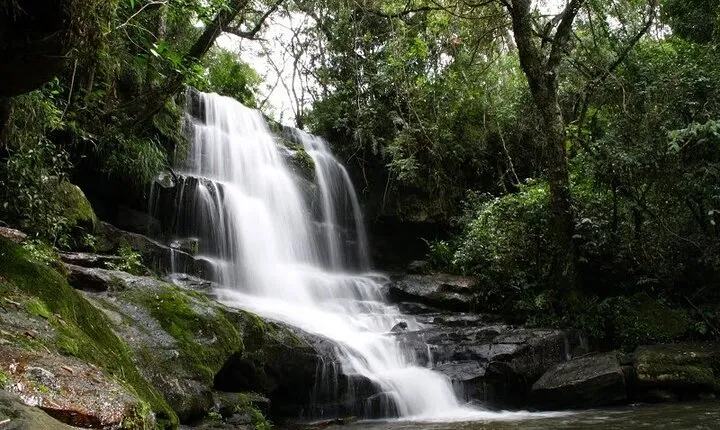 Day tour to “National Park Ybycuí”